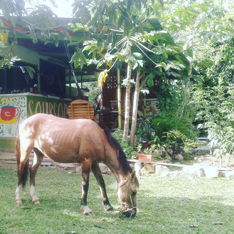 Soursop Hostel Cueta Εξωτερικό φωτογραφία